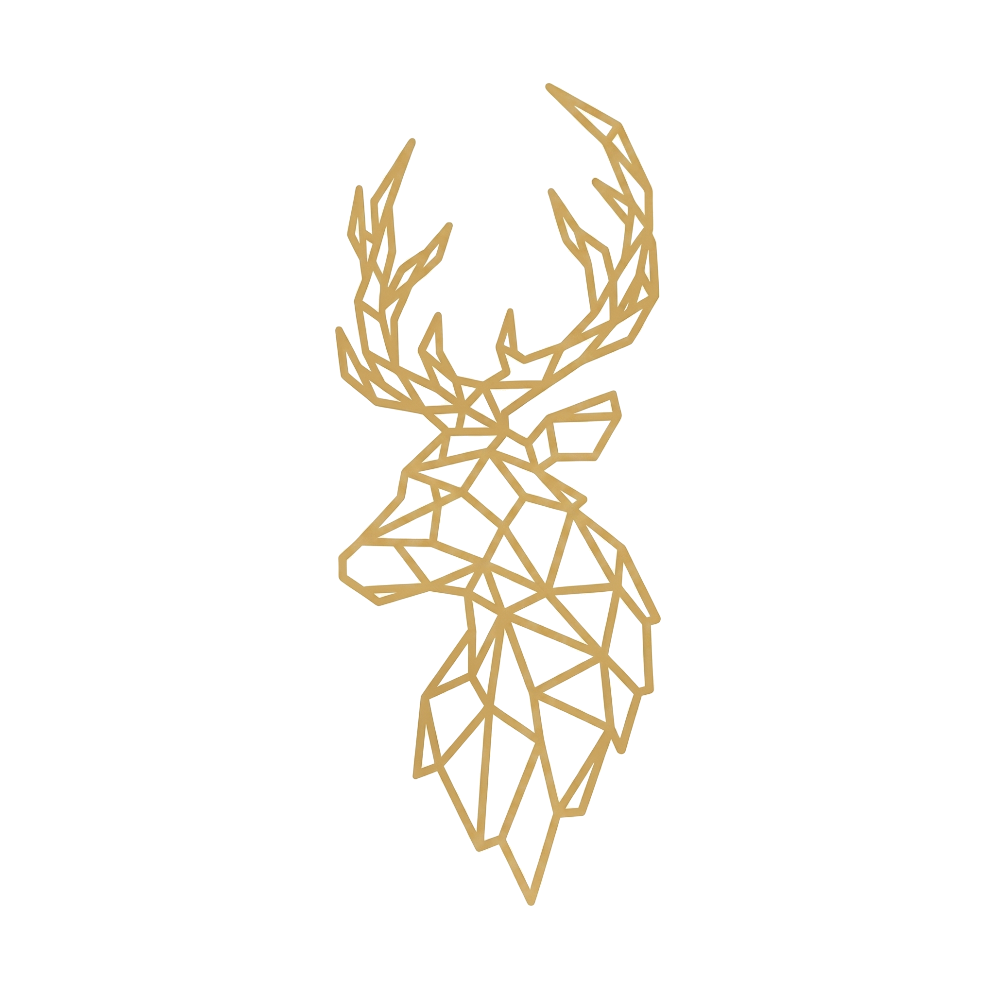 Deerc Studio